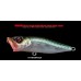 MEGABASS POPX SW 